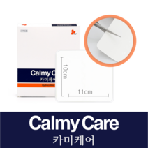 비디이천 카미케어 패드형(잘라쓰는 타입) 10x11cm 1매, 1개