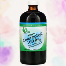 월드오가닉 엽록소 클로로필 알팔파 구리 474ml, 474ml 1개