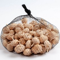 [HIT상품] 도토리팽이(100개셋트) - XBMON+075681EA