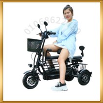 세발 전기자전거 가성비 삼륜 노인 전동 성인용 배달용, 45km 3인승, 48V