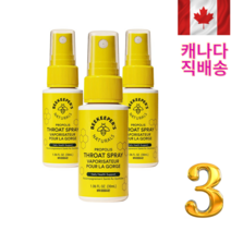 인후염에 좋은 프로폴리스 목 스프레이 30ml 3개