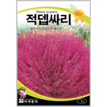 적뎁싸리 1g /관상용 야생화 텃밭 키우기 봄 꽃씨 종자 씨앗