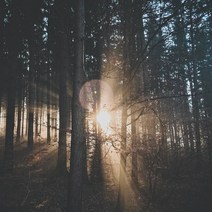 [캔들이케아] 국내산 프래그런스 100ml 오일 97종, 51_르 라보 상탈33