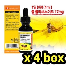 리퀴드 액상프로폴리스 스포이드 4통 목 인후 입안 혀 구강영양제 목에좋은차 20대 면역력영양제