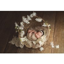 신생아 성장 촬영 소품 세트 의류 테마 아기 사진 본아트 셀프 스냅 스튜디오 바구니, 세트43(전제품포함)