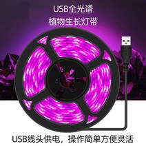 식물공장 조명 홈가드닝 썬라이크 수유등 취침등 선물 Chenghong Full Spectrum Duculent Color -Colored Anti -Apprentice Lighting Light Sunlight Room 번식 꽃 USB 식물 성장 조명, 방수 방수 기능이있는 USB 전체 스펙트럼 2m 램프