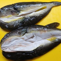국내산 손질복어1kg (밀복2~3미)지리탕용 쏘스 포함, 손질복어(밀복)3미 1kg, 1개