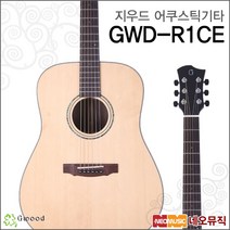 지우드 GWD-R1CE