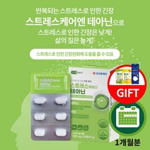 지친 하루 불안한 신경 마음 불안 초조 심신 신체 안정 스트레스 케어 에 좋은 테아닌 아연 함유 긴장 완화제, 1BOX(1개월분), 1개