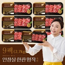 김나운더키친 안창살 한판 명작 9팩(각 300g), 단품