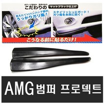 카본휀다가드 몰딩 5종 휀다몰딩 카본 카나드윙 컵윙, (선택3번)AMG휀다가드(XL)