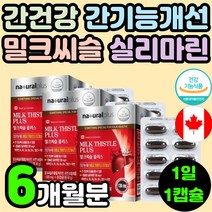 어르신 노인 간 비타민 간의 피로 회복 캐나다 밀크씨슬 수치 개선 영양제 밀크시슬 간에 좋은 영양제 추천 기력 육체 체력 30대 40대 남자 여자 엉겅퀴 추출물 건강 기능 식품