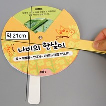 나비와 개구리의 한살이(1인)-JHY
