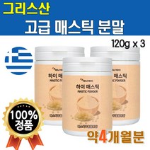 매스틱 분말가루 매스틱검 파우더 120그램 3통 4개월분 물에 타먹는 마시는 매스틱차 그리스산 매스틱 매틱스 마스틱매스틱스 마스틱검 껌 매틱스검 MASTIC GUM 먹는법