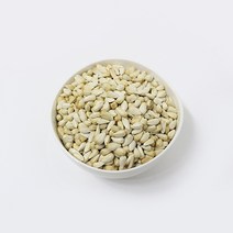세척볶음 홍화씨 (500g) 앵무새 모이 먹이 사료 모란 코뉴어, 500g, 1봉