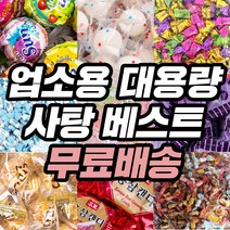대용량사탕모음 종합캔디 사탕 업소용 썬팝 벌크사탕 옛날사탕 유가 박하 계피 홍삼 캔디, 03_1G1A_투믹스 520g