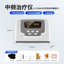 중주파 펄스치료 전기 요법 기기 의료 근막염치료 장치 마사지 물리 주파수피료기, 중간 주파수 치료기 528A (하이 패키지)