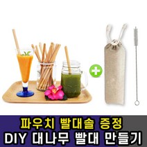 DIY 친환경 평생 대나무 빨대 재활용 휴대용 10개 파우치 세트 빨대세척솔 증정 꾸미기, 본상품선택, 본상품선택