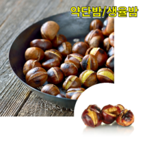 22년 약단밤 생율밤 1kg 공주밤 옥광밤 햇밤 공주알밤 공주정안밤