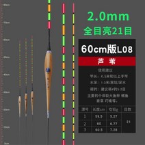장찌 역광찌 주야겸용 양어장 전자찌 찌탑 민물 올림찌, 60판갈대L08 + 1번
