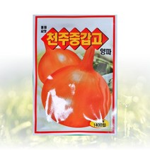 농사친구 천주중갑고 양파 씨앗 1400립 동원 씨 우단동자 꽃삼매 쪽파 구근 명이나물 깻잎 들깨, 1봉