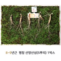 동인발효삼 평창 산양삼 산양산삼 뿌리 8~9년근 먹는법