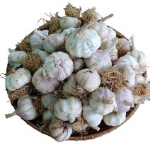 22년 서산 황토 통마늘 1kg/ 단단하고 향이 좋은 서산마늘, 단품