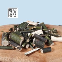 벌나무 가지(산청목) - 국내산 300g [약방청년]