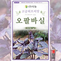 오팔바실 씨앗 1g 500립 / 오팔바질 다년생 허브씨 삽목 야생화 봄 가을 종자 다농