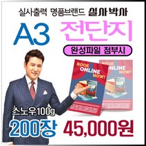 전단지 200장, 완성데이타 (수정0회) 제공, A3-단면 200장