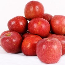 [이슬마루] 경북 의성 사과 흠과 7.5kg(40~50과), 단품