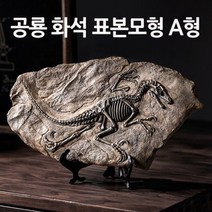 공룡 화석 표본모형 A형/toy