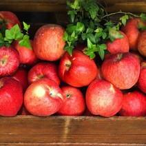 경북 산지직송 당도선별 가정용 정품 꿀사과 부사사과 2kg 3kg 5kg 10kg, (특가-정품) 2kg / 소과 / 10-13과