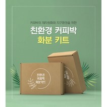 아트박스/예스잇츠커피 친환경 커피박 DIY 화분 만들기 키트