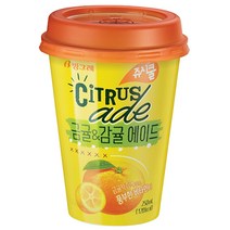 빙그레 쥬시쿨에이드 금귤&감귤에이드 250ml, 60개