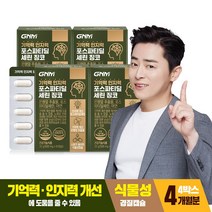 [1박스당 1개월분] GNM 기억력 인지력 포스파티딜세린 징코 / PS 은행잎추출물 두뇌건강, 4박스, 60캡슐
