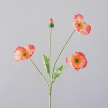 양귀비 조화 꽃 장식 부케 생화같은 꽃 인테리어 꽂장식, 코랄핑크
