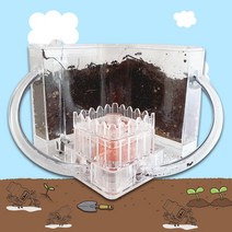 개미집 (Ant House) 개미사육상자 (개미사육통+개미전용 흙+개미젤리1개), 개미 16마리