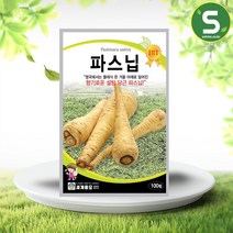 파스닙 씨앗 100립 설탕당근 당근씨 내한성 종자, 단품