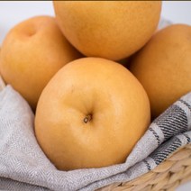 당도 과즙 끝내주는 국내산 햇 배 4kg, 가정용 햇배4kg (10과내외), 1개