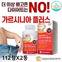 가르시니아 다이어트 보조제 세로토닌 천연 식욕억제제 탄수화물 지방합성억제 체지방감소 HCA 녹차추출물 히비스커스 마테 카르니틴 체지방 내장 복부 지방 감소 다이어트약 추천