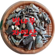 벌나무가지500g( 국내산) 자연산 벌나무껍질(국내산) 헛개나무 간에도움는 식품, 2형(벌나무껍질300g