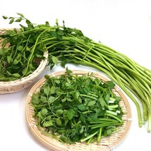 미스터팜팜 당일수확 순천 싱싱 미나리 1kg (500g 2개), 1개, 1kg(500g*2)