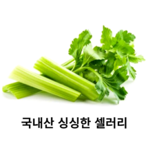 국내산 샐러리 1봉 150g 1kg 2kg 3kg 5kg 10kg 다이어트 샐러드 나물 파스타 산지직송 셀러리