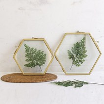 투명 벽걸이액자 압화 액자 골드프레임 3size, 1개
