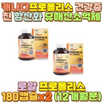 로얄프로폴리스 캐나다프로폴리스 플라보노이드 칼슘 밤샘 새벽 야간 근무 작업 공부 알바 회식 음주 과음 술자리 숙취 출근 퇴근 피곤 과로 피로 장 거리 시간 택시 버스 화물차 대리 운전 기사 서서 일 하는사람
