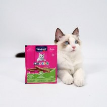 비타크래프트 캣 스틱 간식 3p, 치킨그라스, 18g, 6개