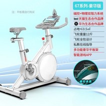 가정용사이클 스피닝 실내 자전거 헬스 싸이클 바이크 운동, B