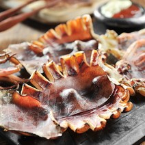 영덕 반건조 오징어 (대) 10마리(총 1.2kg) 합포장 [도리마켓], 단품