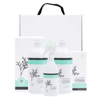 [AK PLAZA] [나무앤미] 피톤치드 가득한 편백잎수액 2L 선물세트, 2000ml